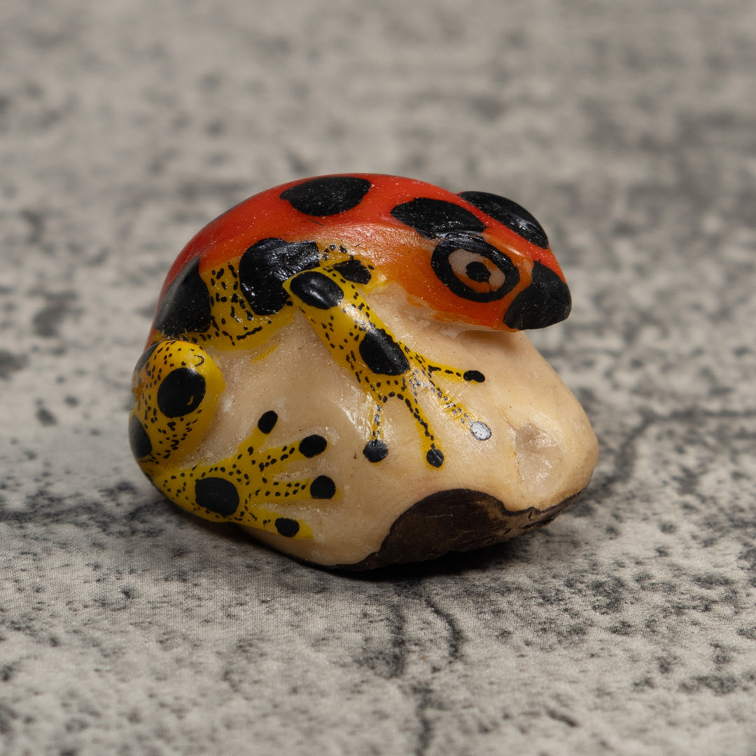 Red Yellow And Black Poison Dart Frog Tagua Carving
