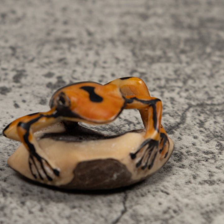 Vintage Black And Gold  Poison Dart Frog Tagua Carving