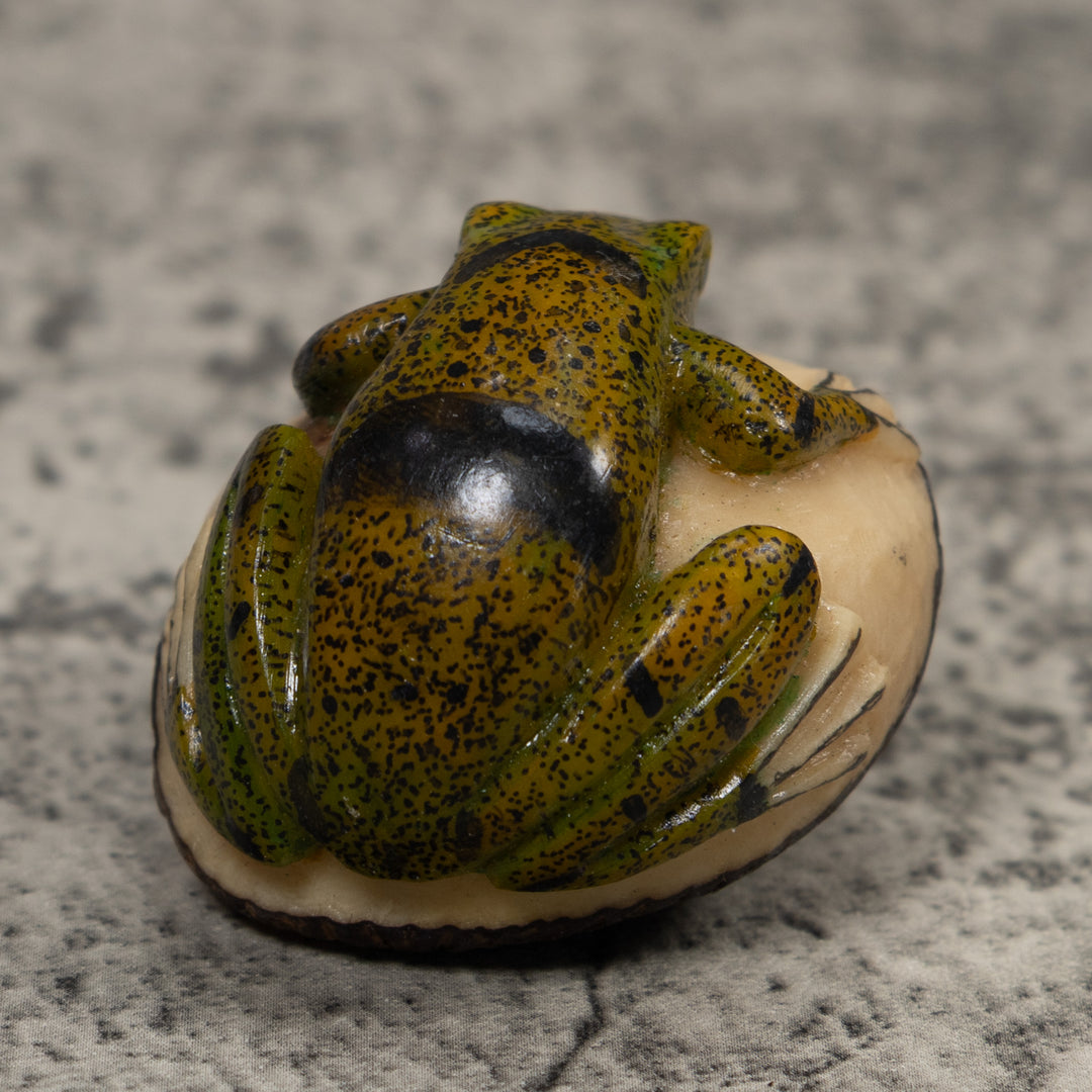 Jungle Frog Toad Tagua Carving