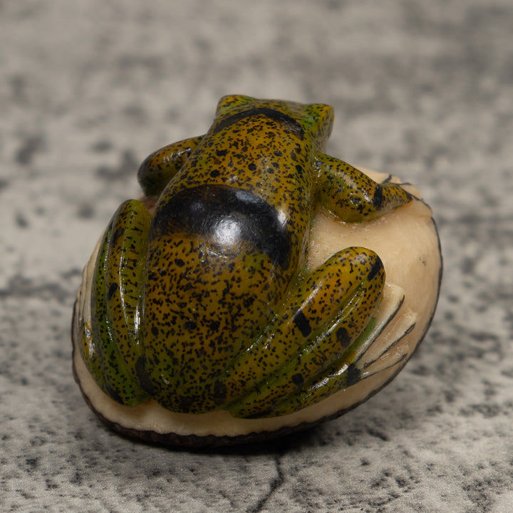 Jungle Frog Toad Tagua Carving
