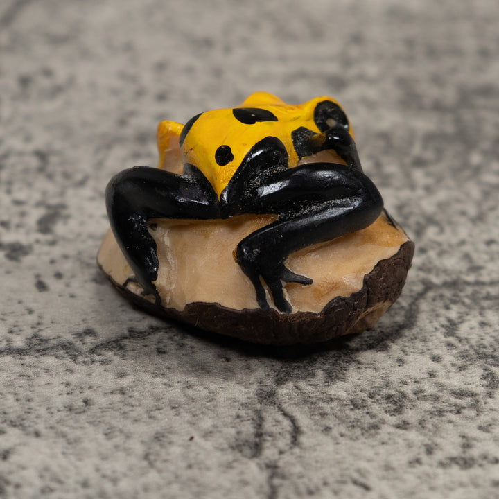 Poison Dart Frog Tagua Carving
