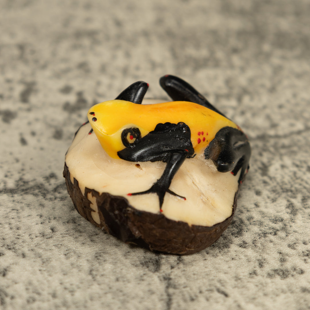Vintage Black And Yellow Poison Dart Frog Frog Tagua Carving