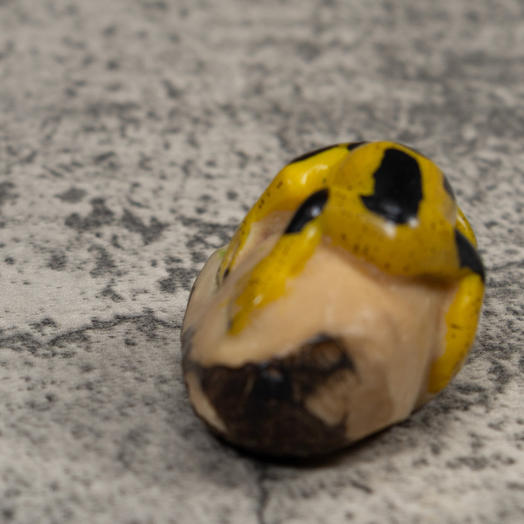 Vintage Yellow And Black Frog Tagua Carving
