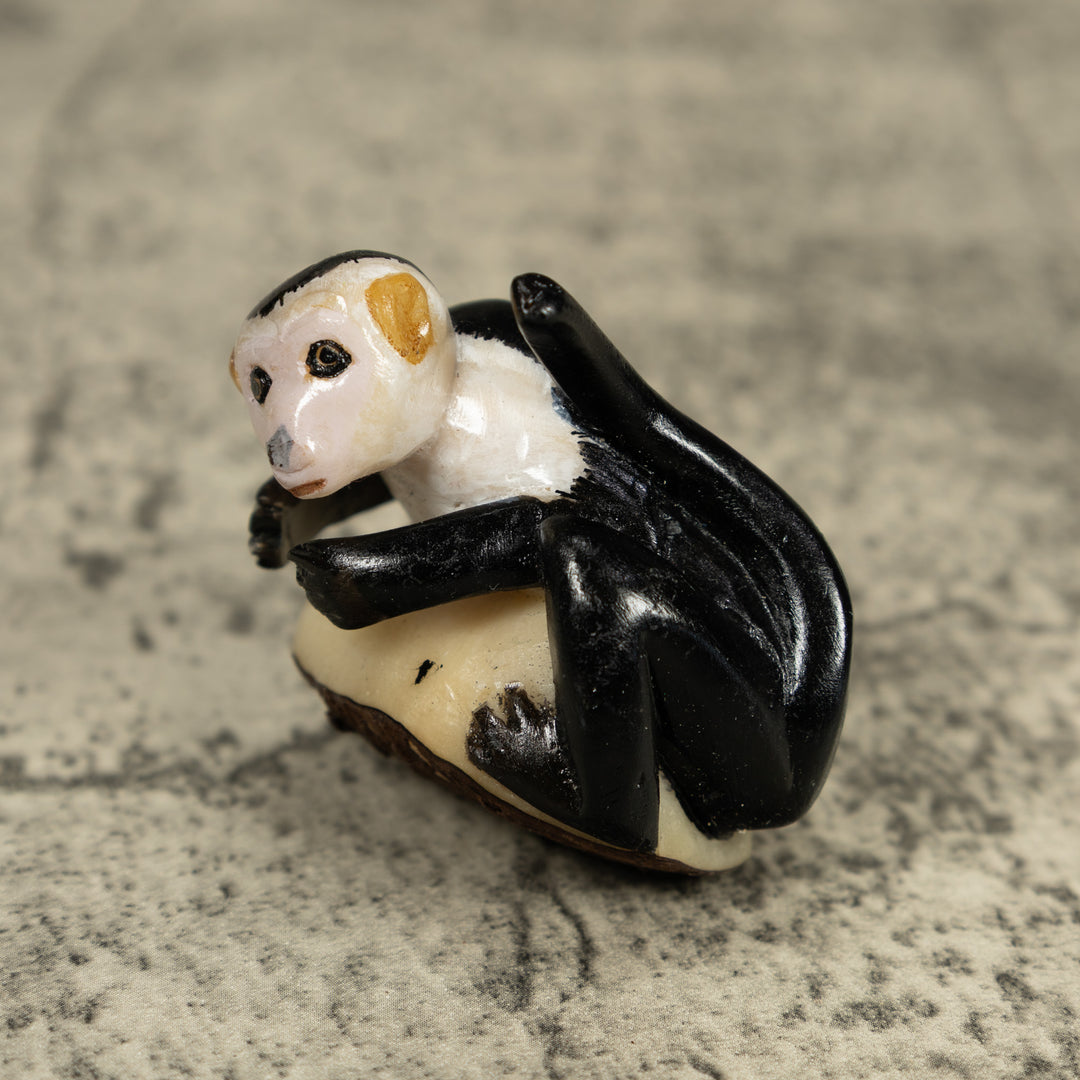 White Face Monkey Tagua Carving