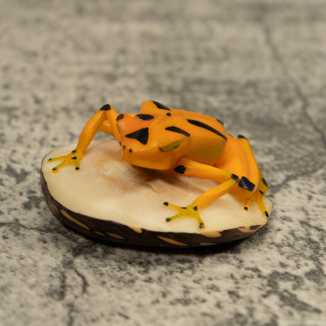 Golden Frog Tagua Carving