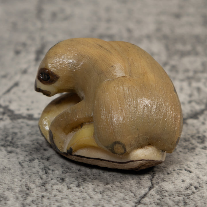 Brown Tan Sloth Tagua Carving