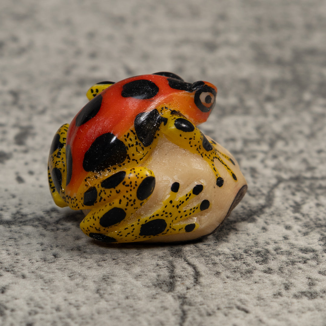 Red Yellow And Black Poison Dart Frog Tagua Carving