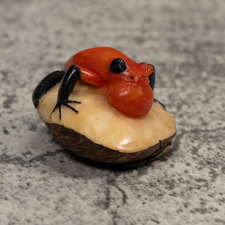 Black And Red Blowthroat Poison Dart Frog Tagua Carving