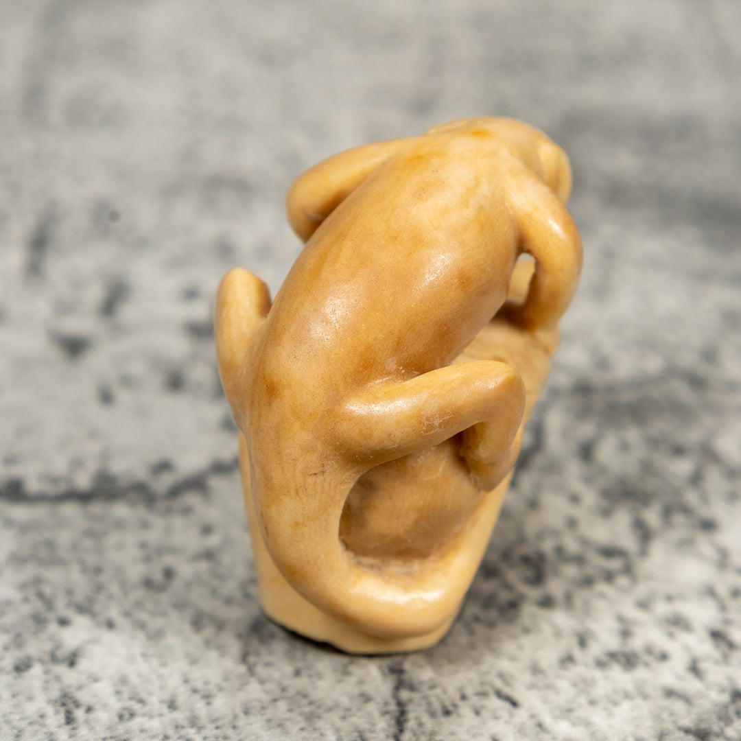 Vintage Natural White And Dyed Monkey Tagua Carving