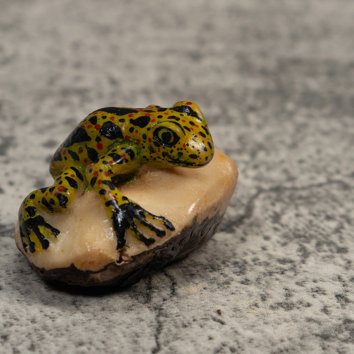Vintage Spotted Poison Dart Frog Tagua Carving