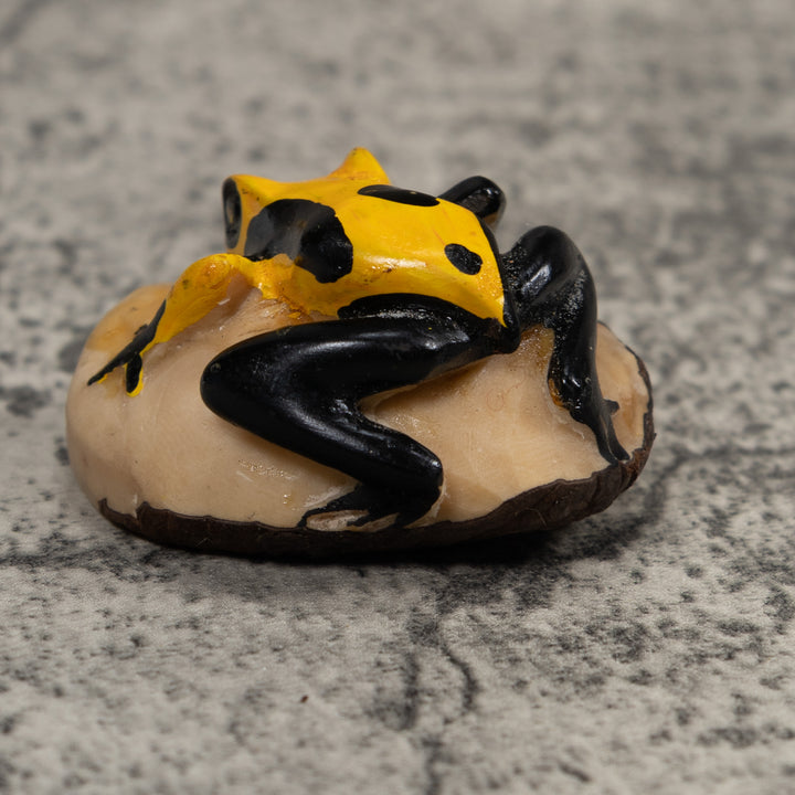 Poison Dart Frog Tagua Carving