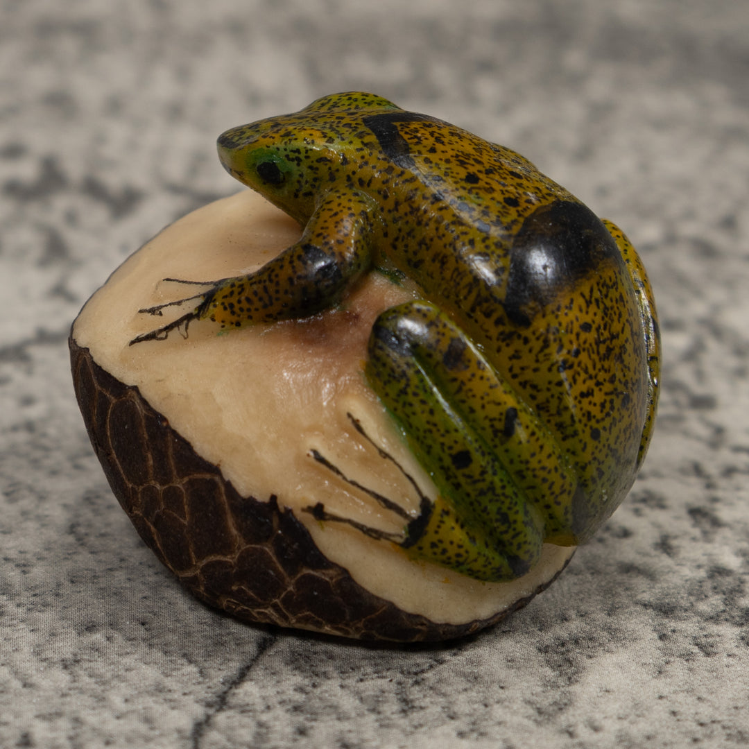 Jungle Frog Toad Tagua Carving