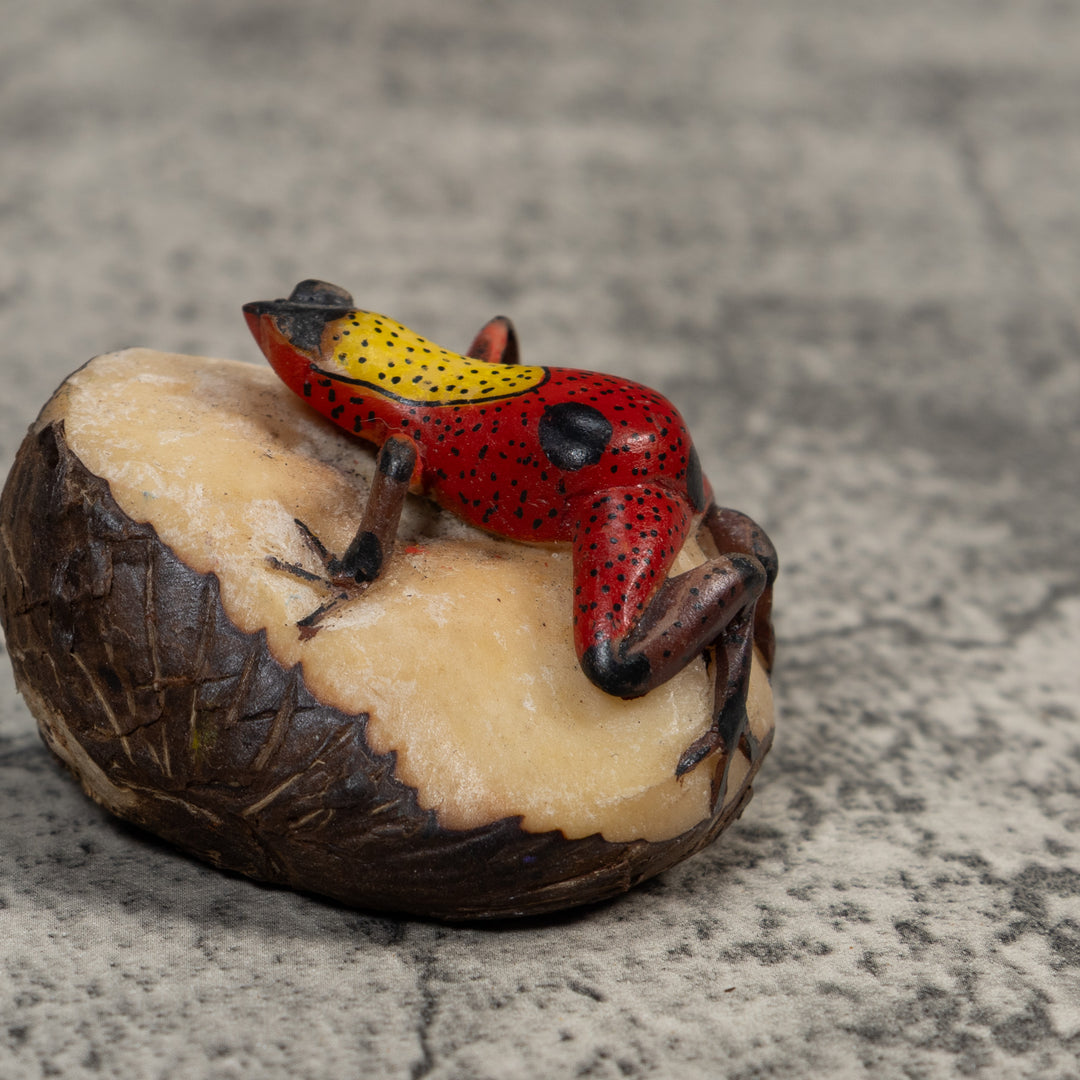 Vintage Red And Yellow Poison Dart Frog Tagua Carving