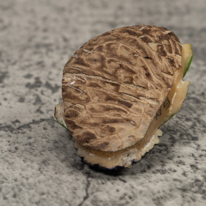 Hummingbird Tagua Carving