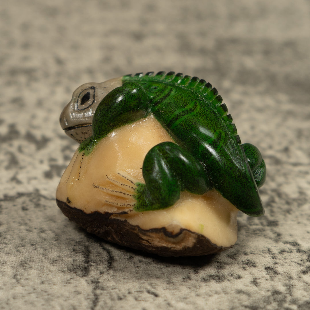 Iguana Lizard Reptile Tagua Carving