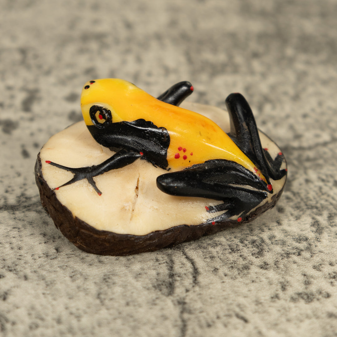 Vintage Black And Yellow Poison Dart Frog Frog Tagua Carving