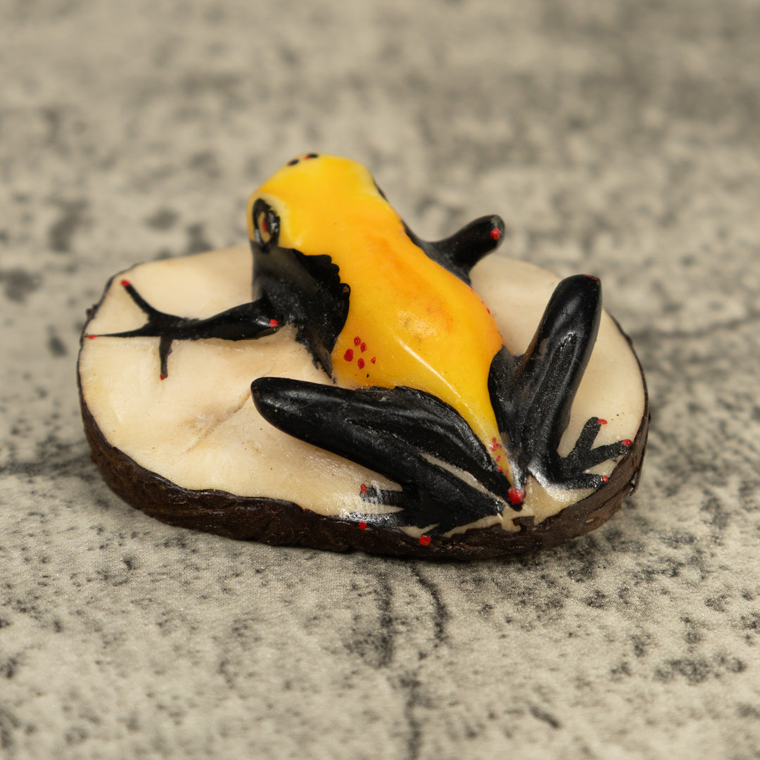 Vintage Black And Yellow Poison Dart Frog Frog Tagua Carving