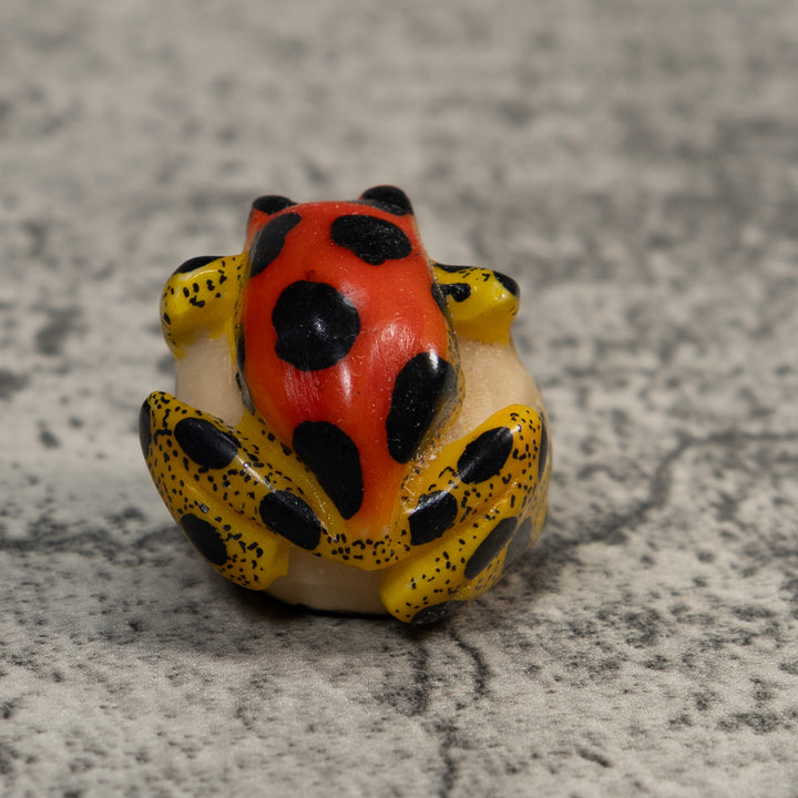 Red Yellow And Black Poison Dart Frog Tagua Carving