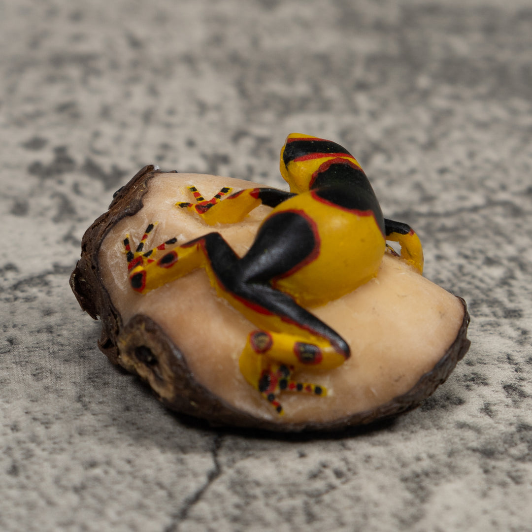 Gold Red And Black Frog Tagua Carving