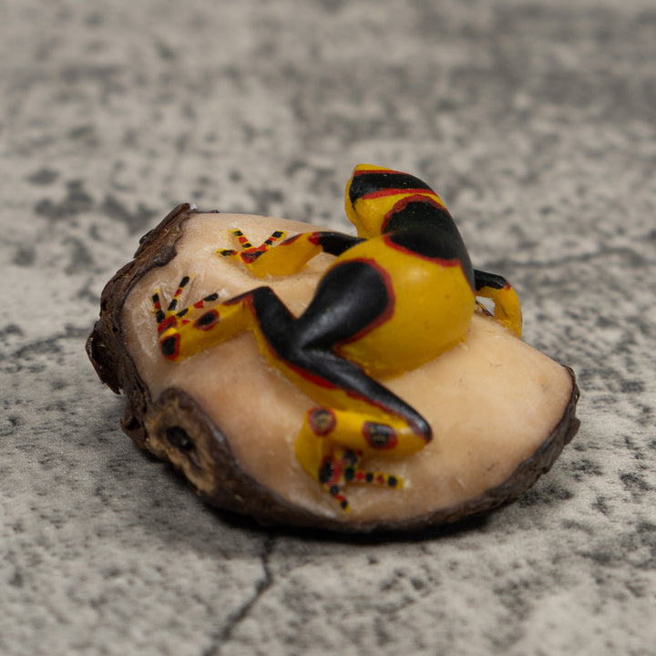 Gold Red And Black Frog Tagua Carving