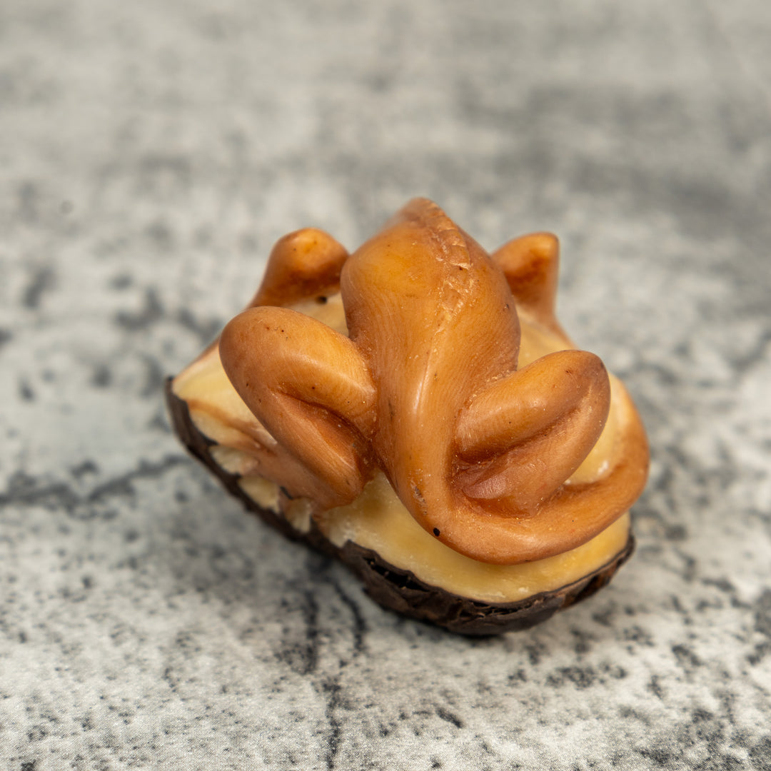 Vintage Dyed Iguana Lizard Tagua Carving