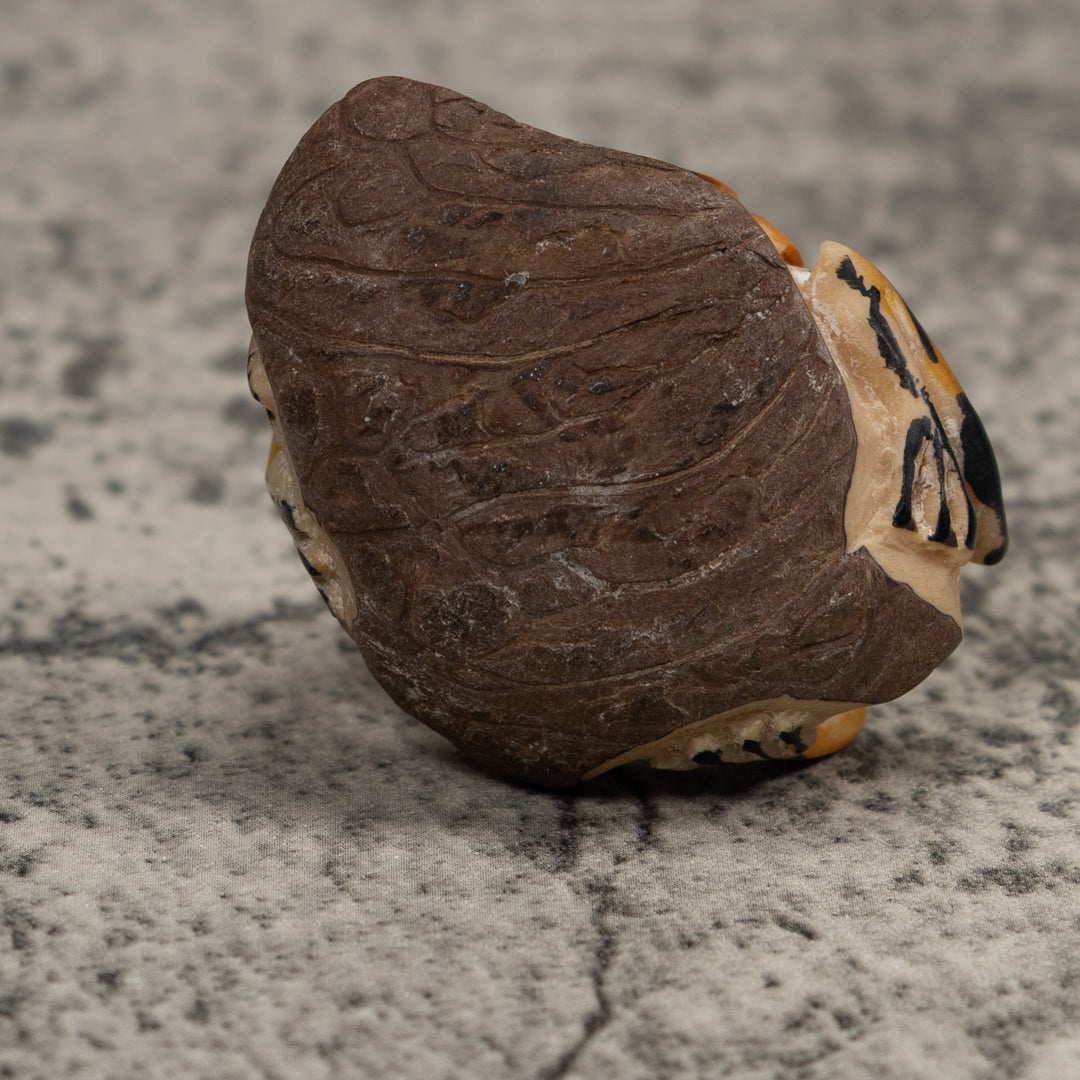 Vintage Black And Gold  Poison Dart Frog Tagua Carving