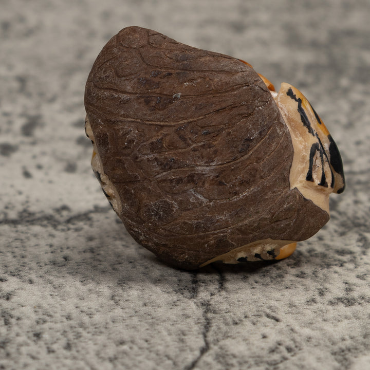 Vintage Black And Gold  Poison Dart Frog Tagua Carving