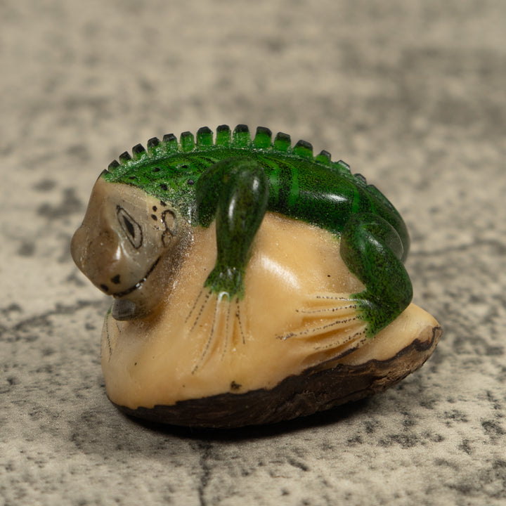 Iguana Lizard Reptile Tagua Carving