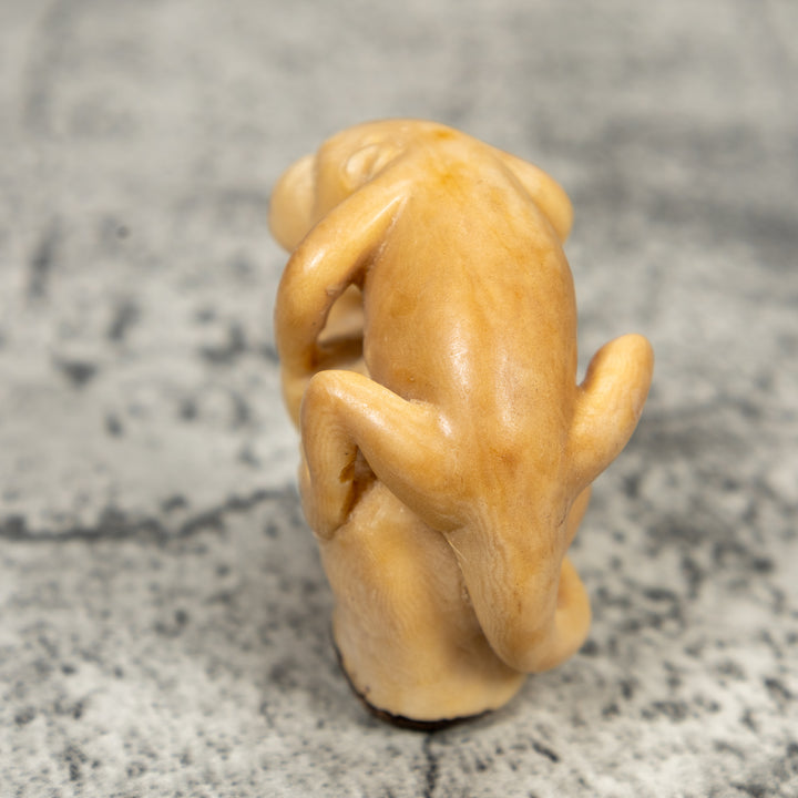 Vintage Natural White And Dyed Monkey Tagua Carving