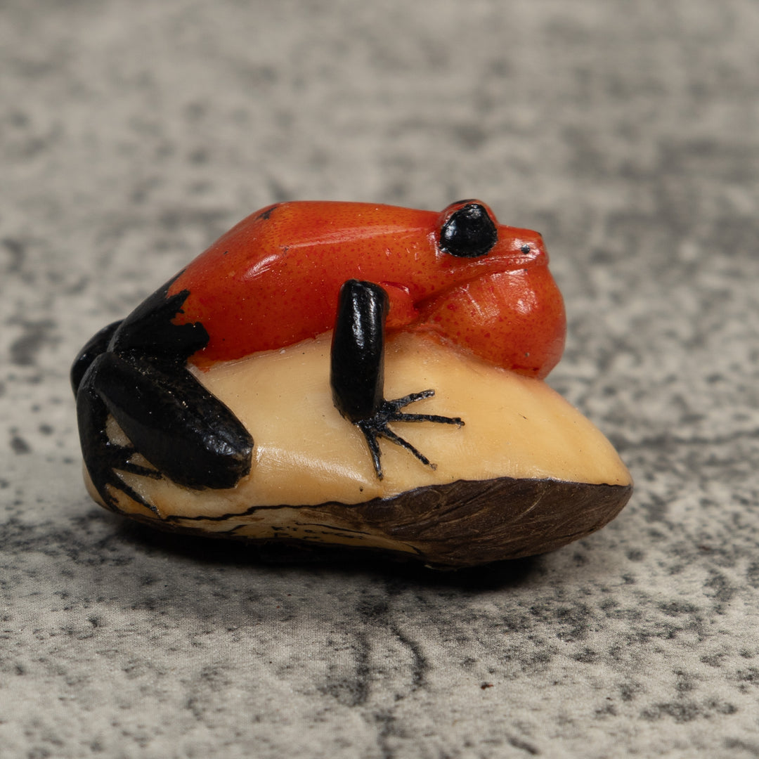 Black And Red Blowthroat Poison Dart Frog Tagua Carving