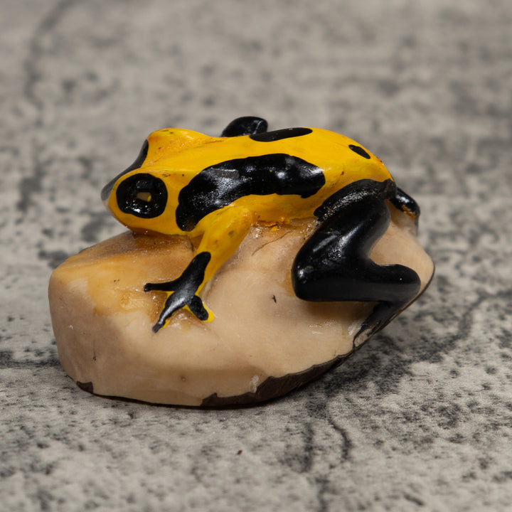 Poison Dart Frog Tagua Carving