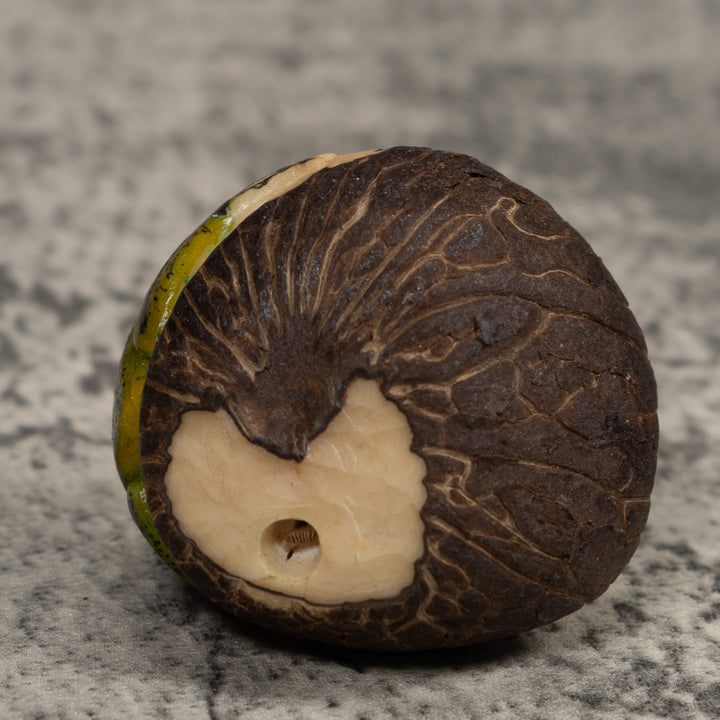 Jungle Frog Toad Tagua Carving