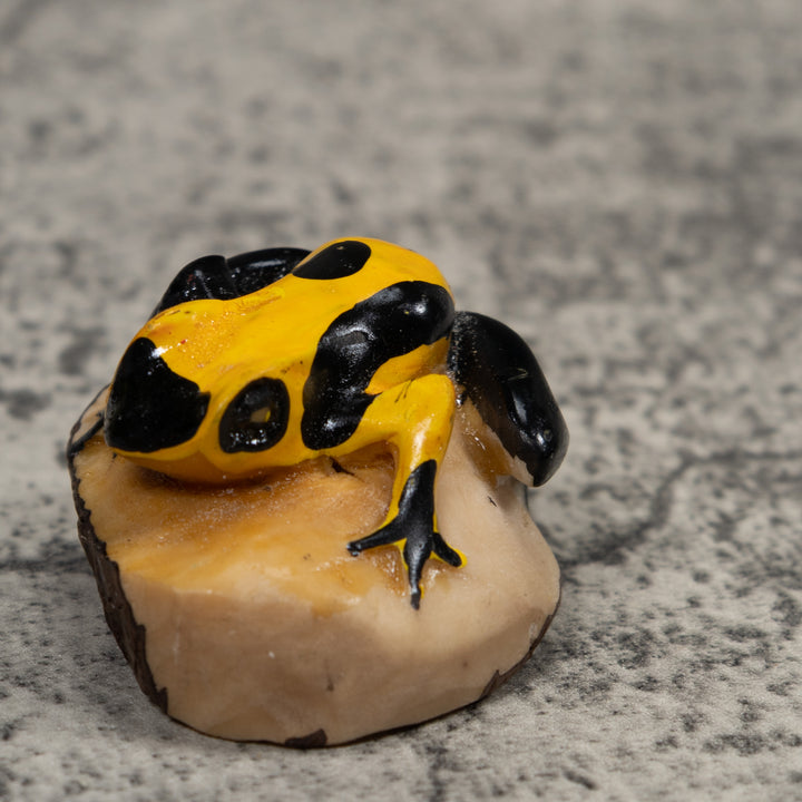 Poison Dart Frog Tagua Carving