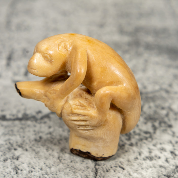Vintage Natural White And Dyed Monkey Tagua Carving