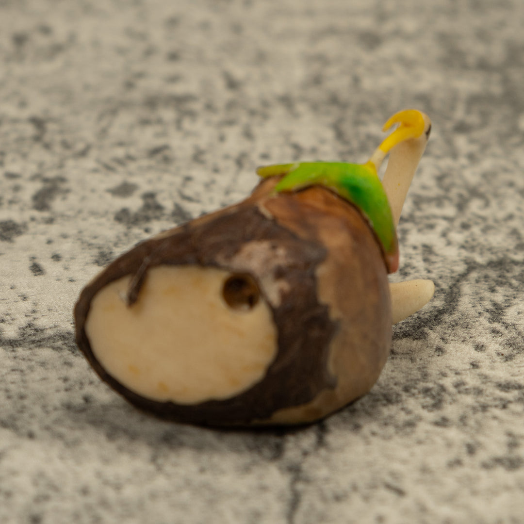 White Waterbird Tagua Carving