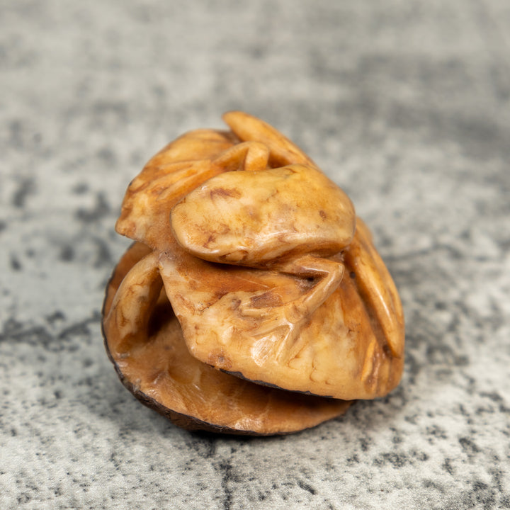 Natural White Dyed Frog And Plant Tagua Carving