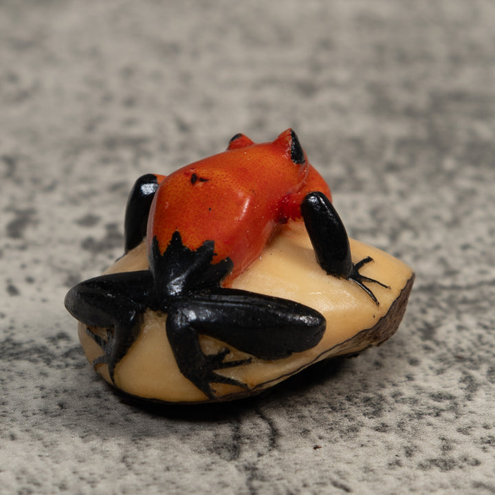 Black And Red Blowthroat Poison Dart Frog Tagua Carving