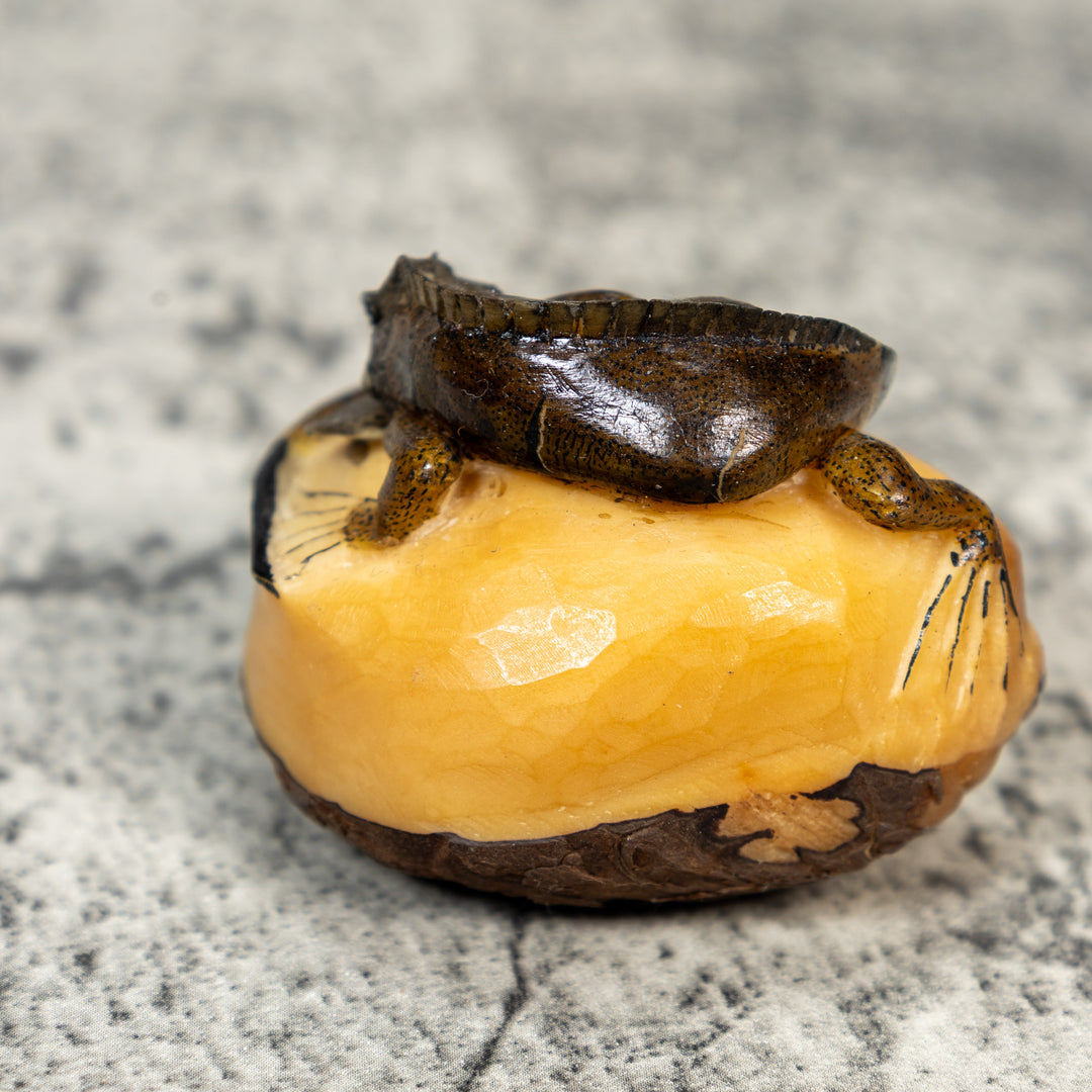 Brown And Black Iguana Lizard Tagua Carving