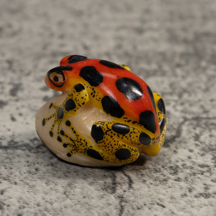Red Yellow And Black Poison Dart Frog Tagua Carving