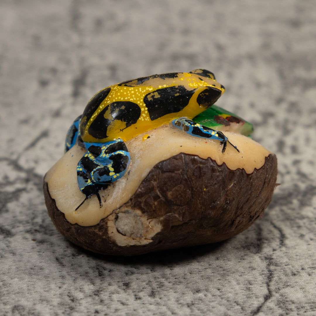 Blue Gold And Green Poison Dart Frog Tagua Carving