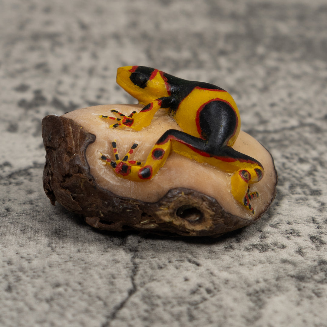 Gold Red And Black Frog Tagua Carving