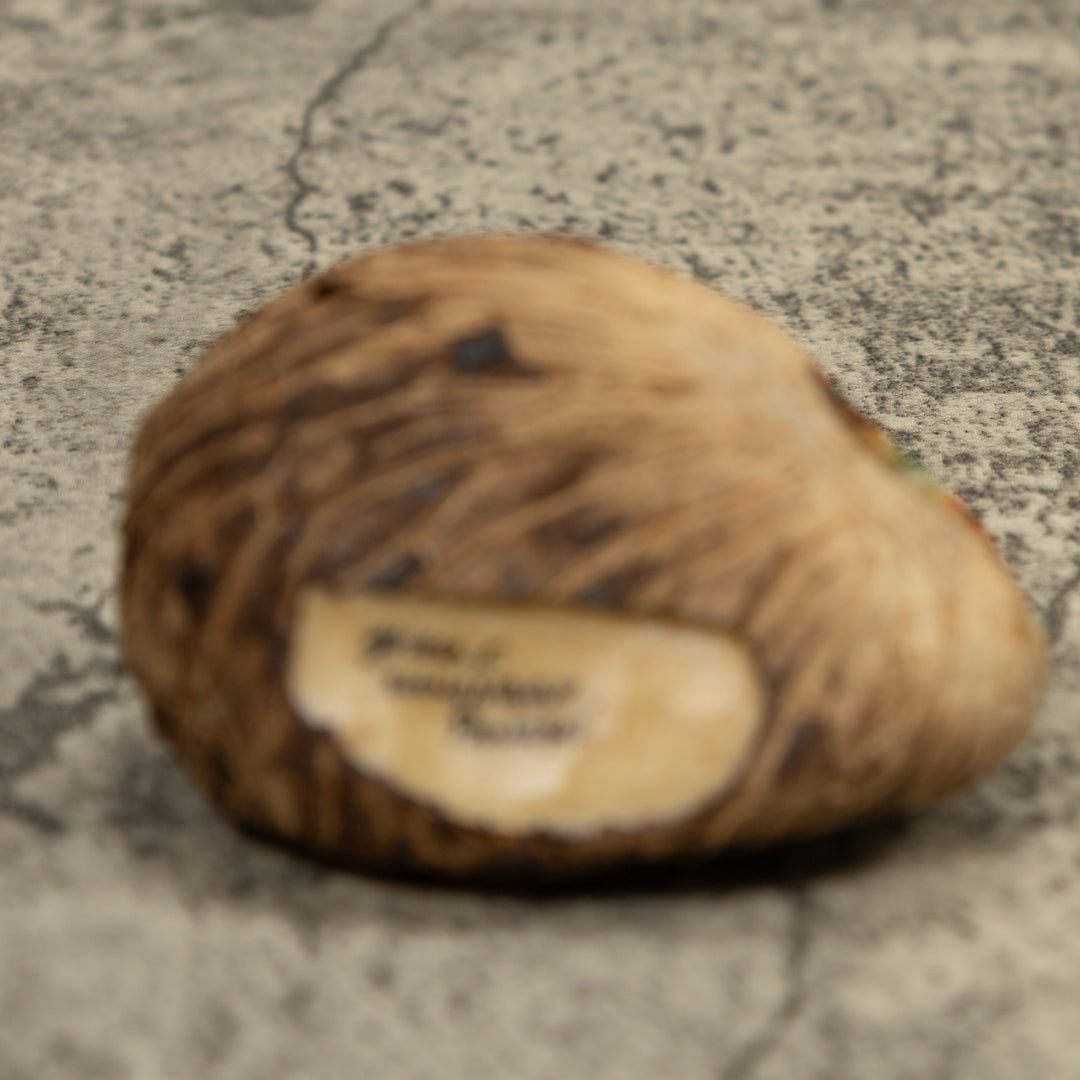 Vintage Poison Dart Frog Tagua Carving