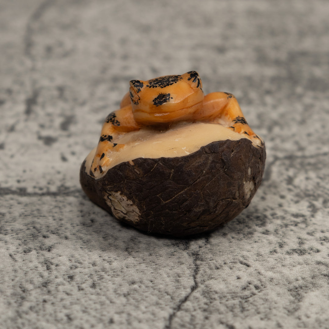 Vintage Black And Gold Frog Tagua Carving