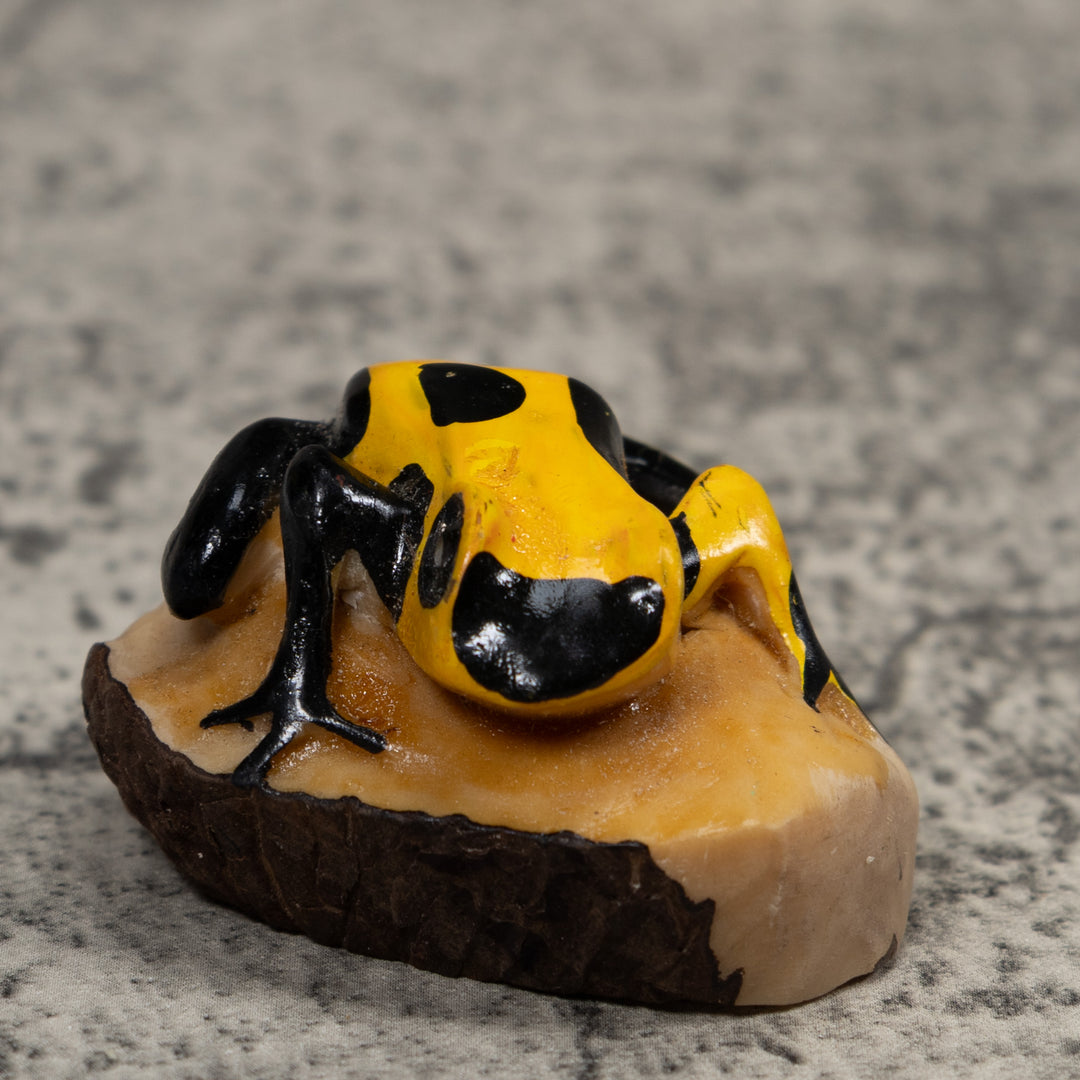 Poison Dart Frog Tagua Carving