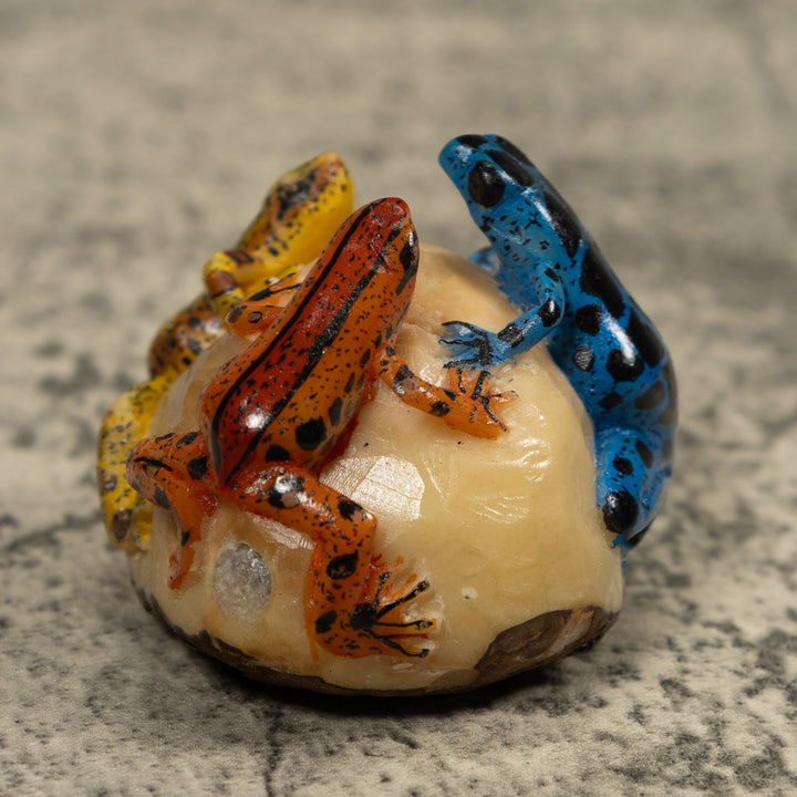 Triple Poison Dart Frog Tagua Carving