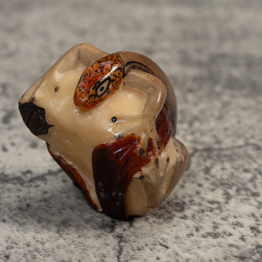 Orange And Brown Gecko Lizard Tagua Carving
