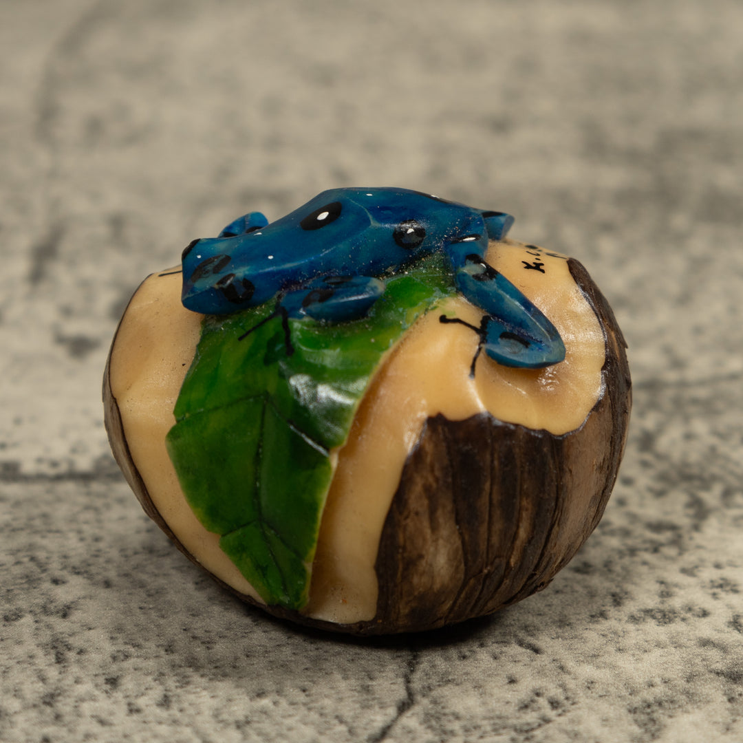 Blue Poison Dart Frog Tagua Carving