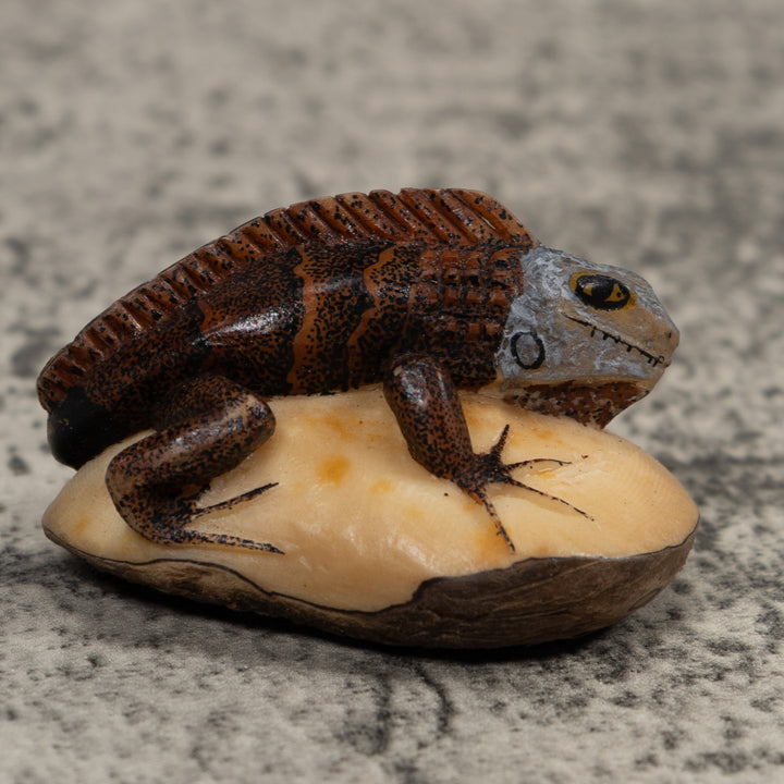 Iguana Lizard Reptile Tagua Carving