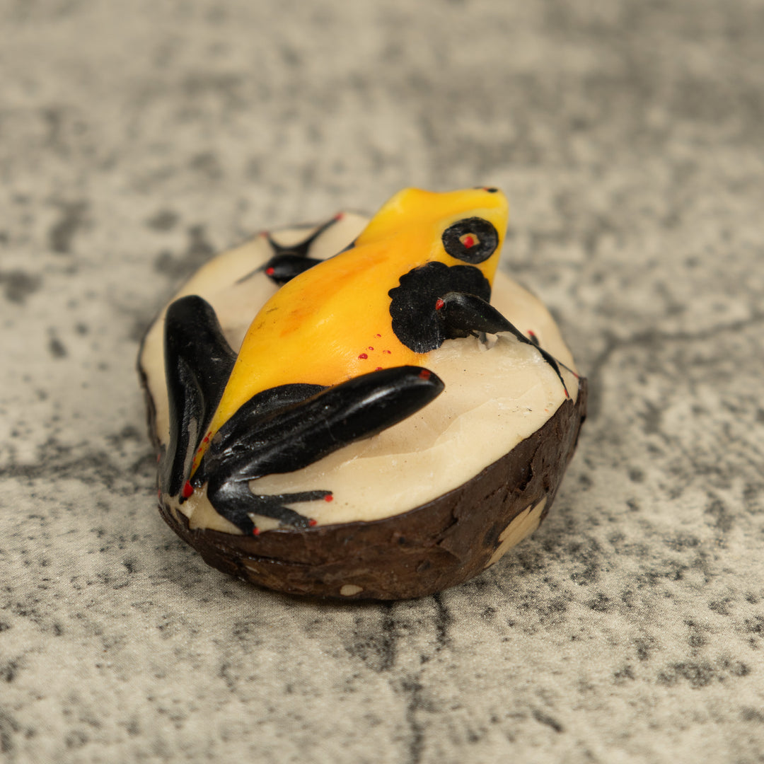 Vintage Black And Yellow Poison Dart Frog Frog Tagua Carving
