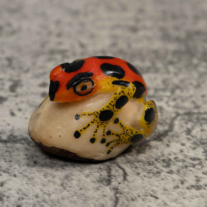 Red Yellow And Black Poison Dart Frog Tagua Carving